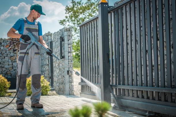 Best Driveway Cleaning and Restoration in Eagle Lake, MN